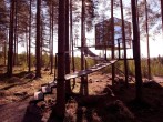 In the woods In the woods